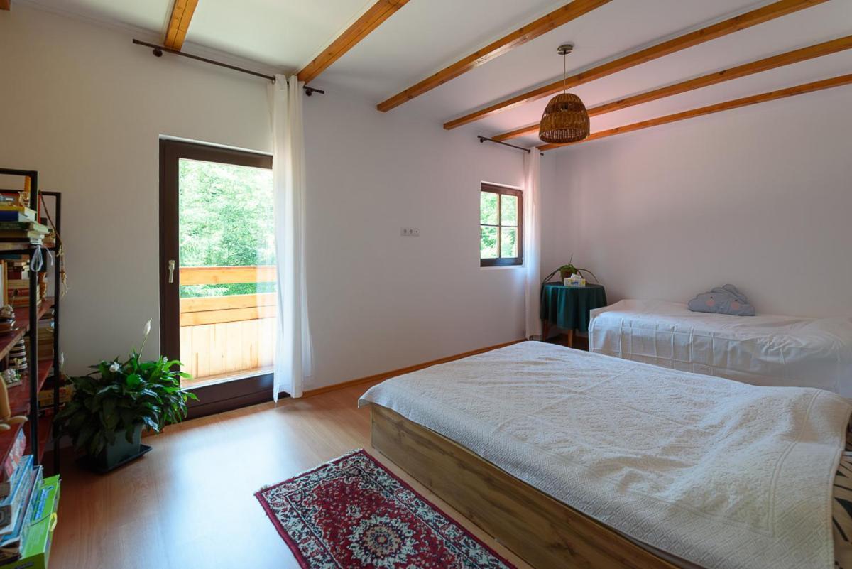 Susurul Apei Chalet 포룸바쿠 데 수스 외부 사진