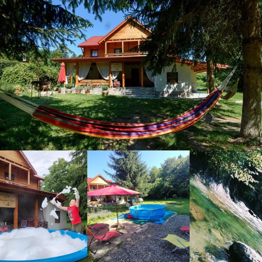 Susurul Apei Chalet 포룸바쿠 데 수스 외부 사진