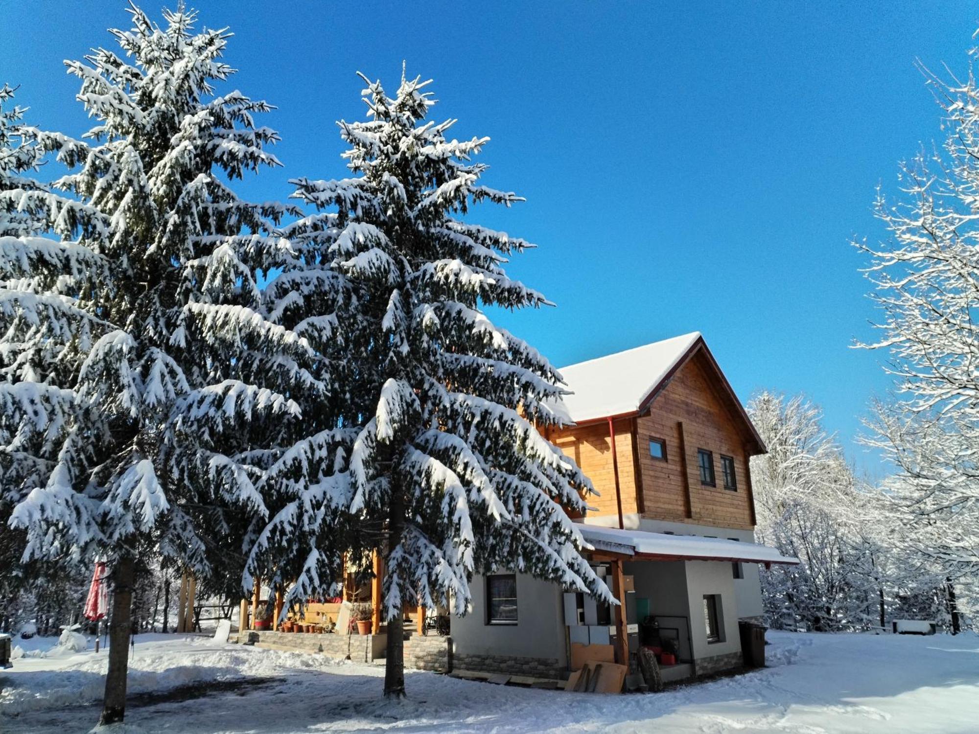 Susurul Apei Chalet 포룸바쿠 데 수스 객실 사진