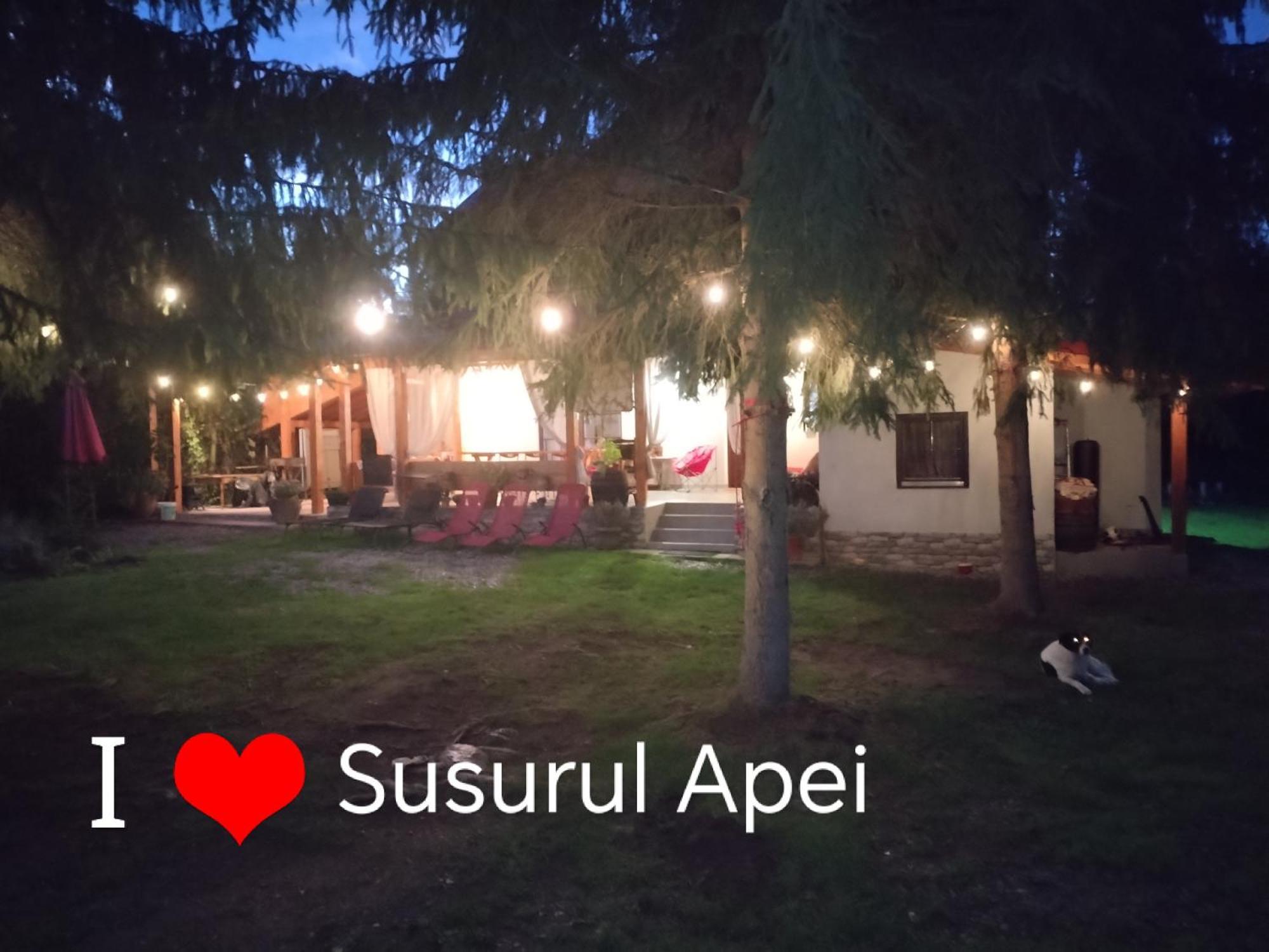 Susurul Apei Chalet 포룸바쿠 데 수스 외부 사진